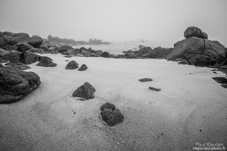 tournepierres à collier et bécasseaux sanderling à #Fouesnant #Bretagne #Finistère tournepierres à collier et bécasseaux sanderling à #Fouesnant #Bretagne #Finistère