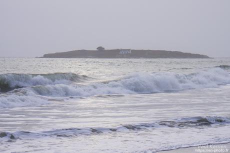 tournepierres à collier et bécasseaux sanderling à #Fouesnant #Bretagne #Finistère