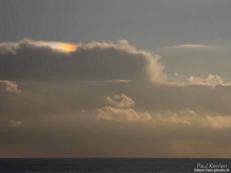 tournepierres à collier et bécasseaux sanderling à #Fouesnant #Bretagne #Finistère tournepierres à collier et bécasseaux sanderling à #Fouesnant #Bretagne #Finistère