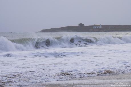 tournepierres à collier et bécasseaux sanderling à #Fouesnant #Bretagne #Finistère tournepierres à collier et bécasseaux sanderling à #Fouesnant #Bretagne #Finistère