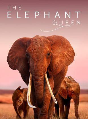 The Elephant Queen (2019) de Victoria Stone et Mark Deeble