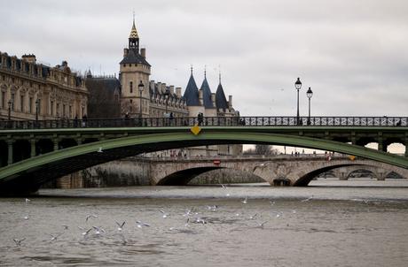 Promenade au fil de l’eau : de Bastille à Notre-Dame…