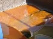 recyclage huiles friture, marché niche rapporte (vidéo)