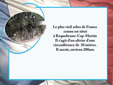 La France - Le Saviez-vous