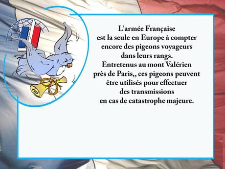 La France - Le Saviez-vous