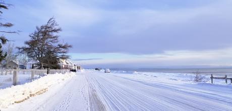 Retour au bercail et confinement