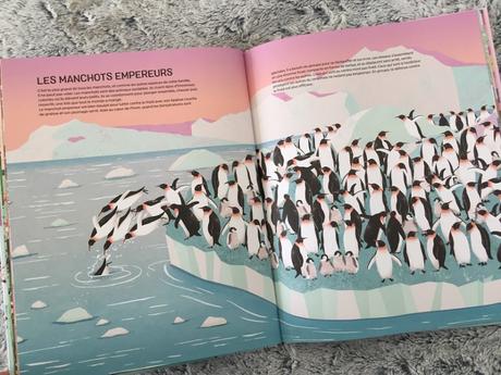 Animaux, vivre tout seul ou en groupe ? – Mia Cassany et Tania Garcia