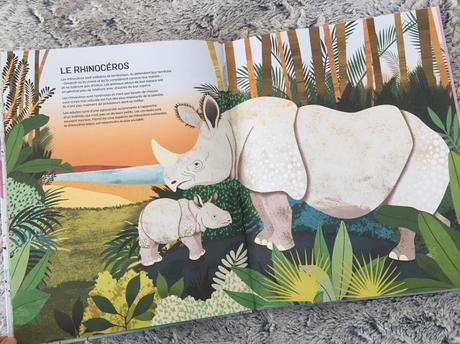 Animaux, vivre tout seul ou en groupe ? – Mia Cassany et Tania Garcia