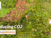 modèle compensation carbone intelligent