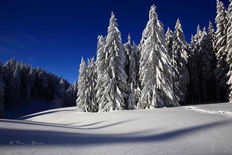 Vacances : 58,4 % de réservations en moins par rapport à 2020