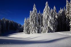 Vacances : 58,4 % de réservations en moins par rapport à 2020