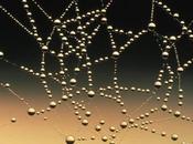 Zapier, pour automatiser tâches quotidiennes