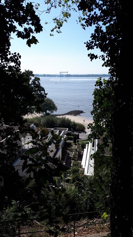 vue sur l'elbe paysage allemand plage calme bâtiments villa quartier chic
