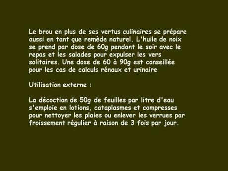 Divers - Le Noyer et ses fruits