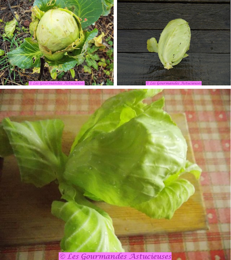 Topinambours façon gratin Dauphinois (Vegan)