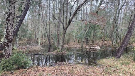Il pleut, il mouille, et je ne suis pas une grenouille