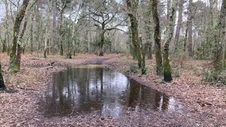 Il pleut, il mouille, et je ne suis pas une grenouille
