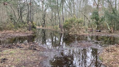 Il pleut, il mouille, et je ne suis pas une grenouille