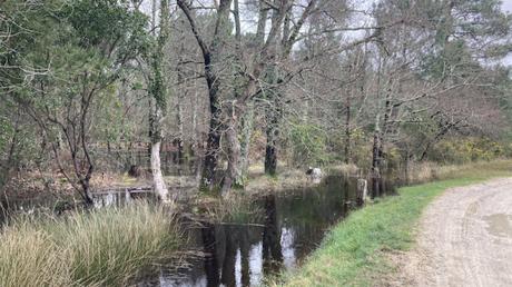 Il pleut, il mouille, et je ne suis pas une grenouille