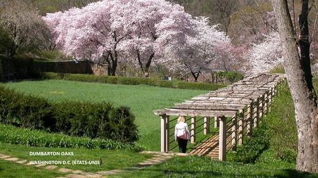 Divers - les plus neaux jardins - 2