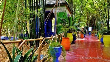 Divers - les plus neaux jardins - 2