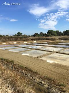 La Salorge du port des Salines d'Oléron