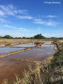 La Salorge du port des Salines d'Oléron