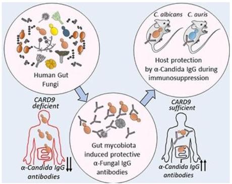 Visuel Iliev lab Visuel Iliev lab