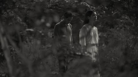 Rotterdam 2021 : Le Palmarès