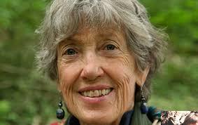 Gratitude (2) et transition intérieure