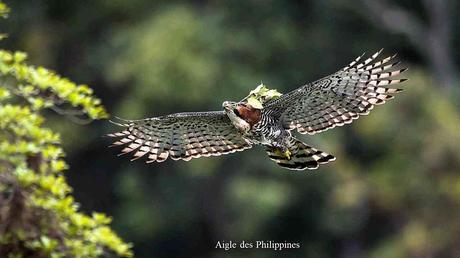 Pays Etranger - Les Philippines