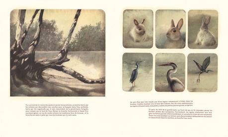 Des souris et des hommes de John STEINBECK et Rebecca DAUTREMER