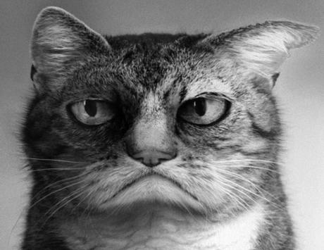 Pour 1000 milliards par an, on n’a même plus un petit régalien solide