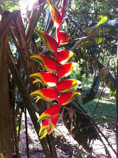 Les poèmes possibles Les poèmes possibles