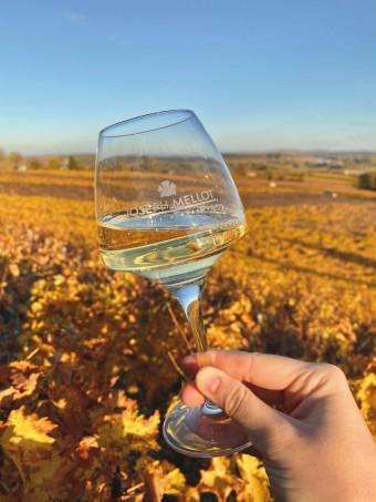 verre automne verre automne