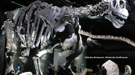 La France - Visitez Lyon