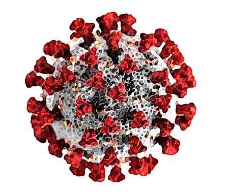 Origine du coronavirus SARS-CoV-2 : détecté et en circulation en France depuis le 5 novembre 2019 ? Origine du coronavirus SARS-CoV-2 : détecté et en circulation en France depuis le 5 novembre 2019 ?