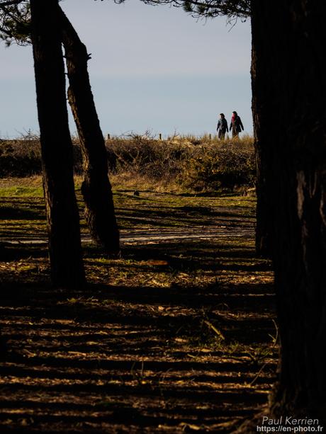 gros débit dans les ruisseaux #Bretagne #Finistère gros débit dans les ruisseaux #Bretagne #Finistère