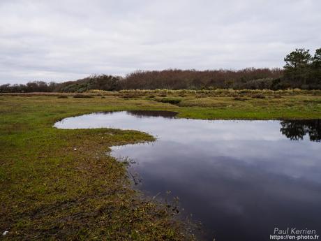 gros débit dans les ruisseaux #Bretagne #Finistère gros débit dans les ruisseaux #Bretagne #Finistère