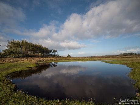 gros débit dans les ruisseaux #Bretagne #Finistère gros débit dans les ruisseaux #Bretagne #Finistère