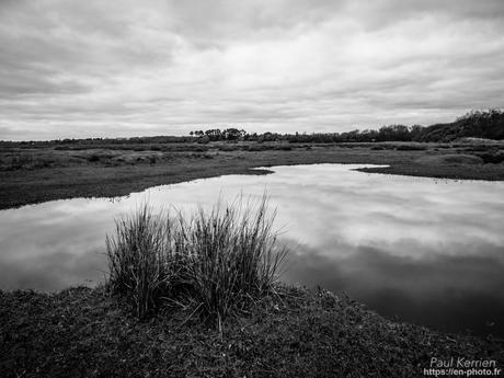 gros débit dans les ruisseaux #Bretagne #Finistère gros débit dans les ruisseaux #Bretagne #Finistère