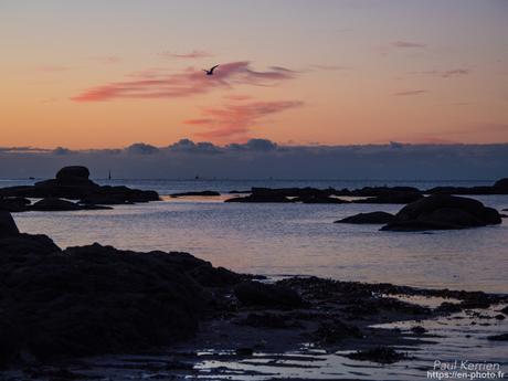 gros débit dans les ruisseaux #Bretagne #Finistère gros débit dans les ruisseaux #Bretagne #Finistère