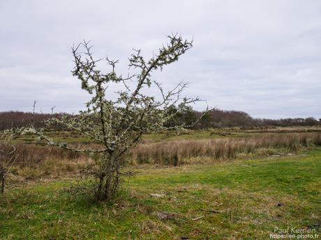 gros débit dans les ruisseaux #Bretagne #Finistère gros débit dans les ruisseaux #Bretagne #Finistère