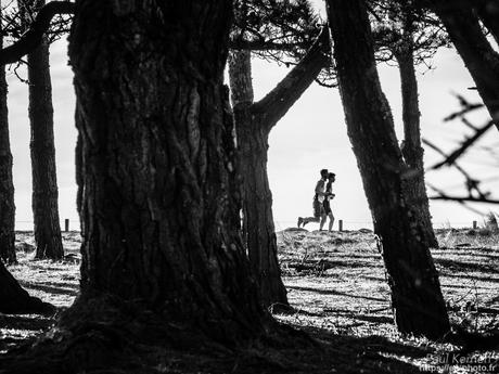 gros débit dans les ruisseaux #Bretagne #Finistère gros débit dans les ruisseaux #Bretagne #Finistère