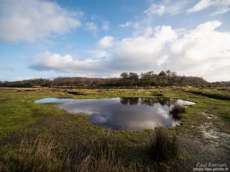gros débit dans les ruisseaux #Bretagne #Finistère gros débit dans les ruisseaux #Bretagne #Finistère