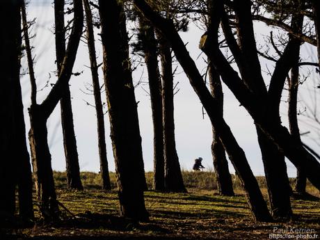gros débit dans les ruisseaux #Bretagne #Finistère gros débit dans les ruisseaux #Bretagne #Finistère