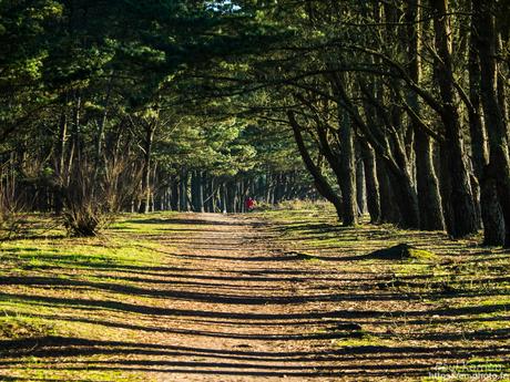 gros débit dans les ruisseaux #Bretagne #Finistère gros débit dans les ruisseaux #Bretagne #Finistère
