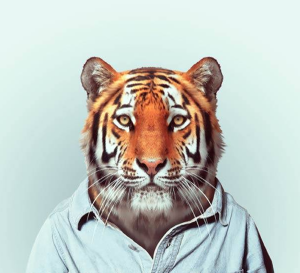 Je suis un tigre
