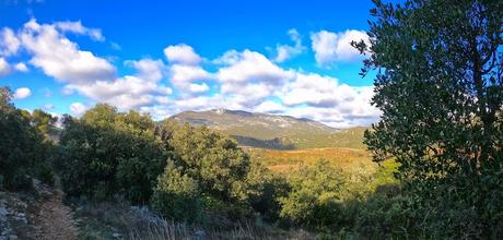 RANDONNER DANS L'HERAULT・le Castellas de Montpeyroux