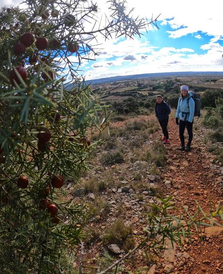 RANDONNER DANS L'HERAULT・le Castellas de Montpeyroux